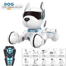 DWI  2019 remote control programming intelligent educational voice commands rc robot dog